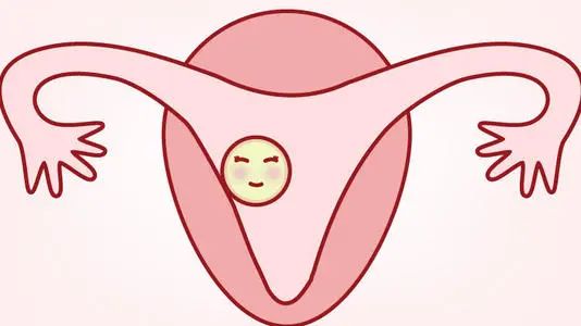女性不孕有哪几种原因,男性也会导致不孕？