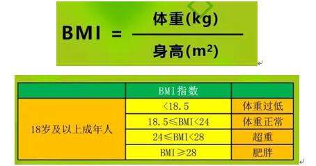 体重指数