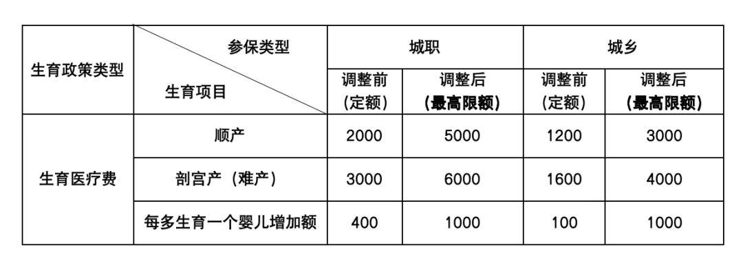 生育医疗费