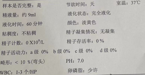 从0条精子到600条精子,看我院男科如何助力「无精症」夫妇圆梦