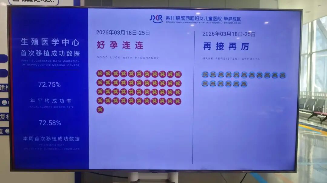 最新试管婴儿成功率!更有生育补贴活动